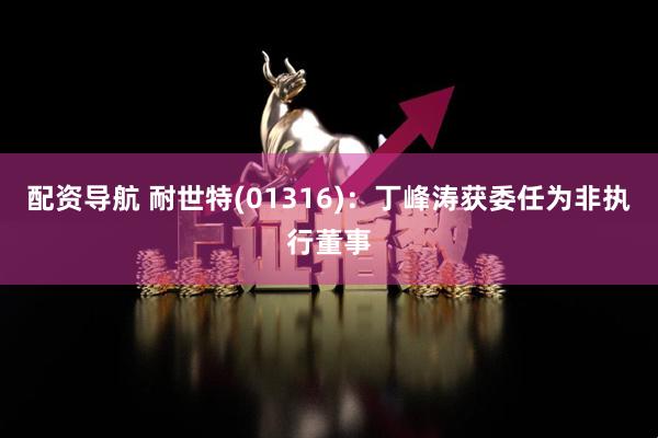配资导航 耐世特(01316)：丁峰涛获委任为非执行董事
