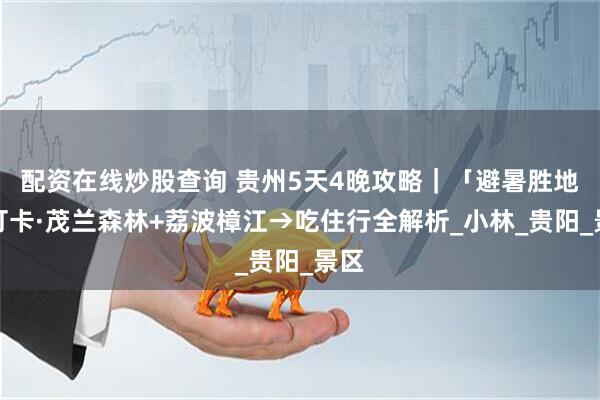 配资在线炒股查询 贵州5天4晚攻略｜「避暑胜地」打卡·茂兰森林+荔波樟江→吃住行全解析_小林_贵阳_景区