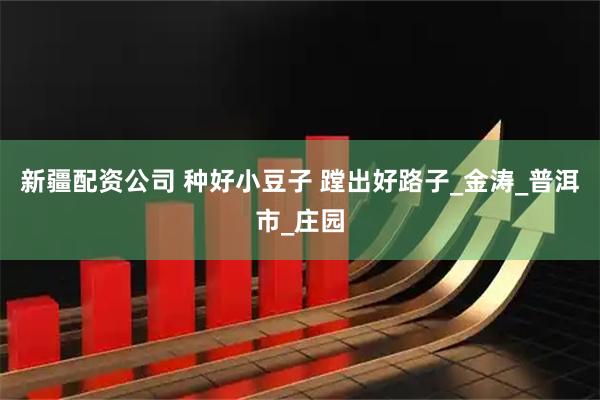 新疆配资公司 种好小豆子 蹚出好路子_金涛_普洱市_庄园