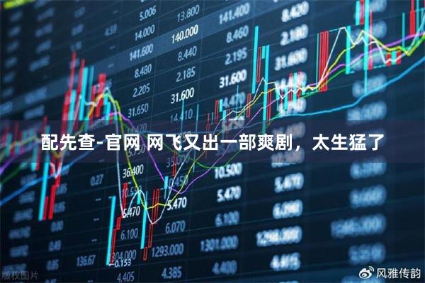 配先查-官网 网飞又出一部爽剧，太生猛了